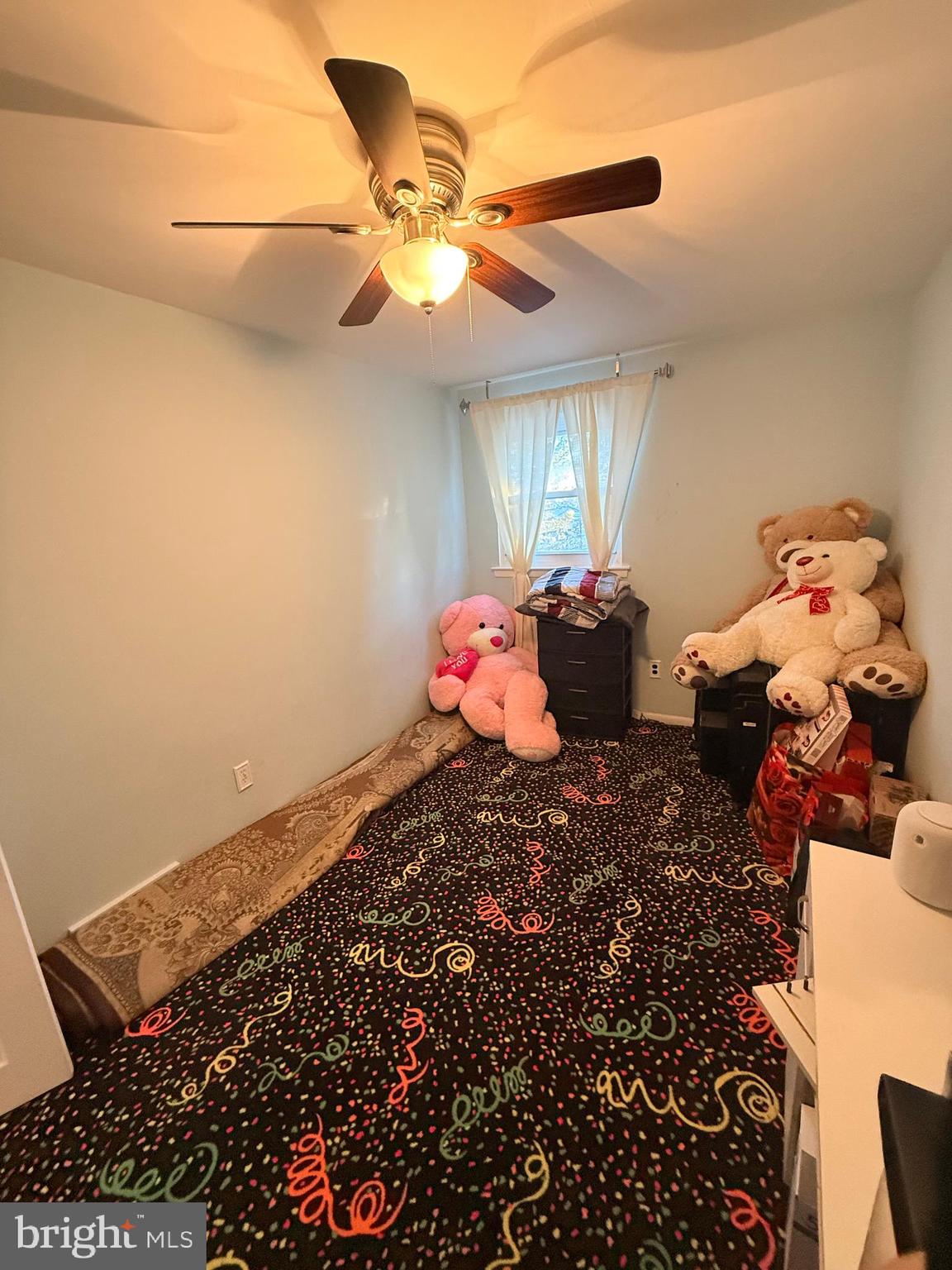 426 Parlin Street Philadelphia, PA 19116 - Photo 24 of 27 a room with lots of flowers