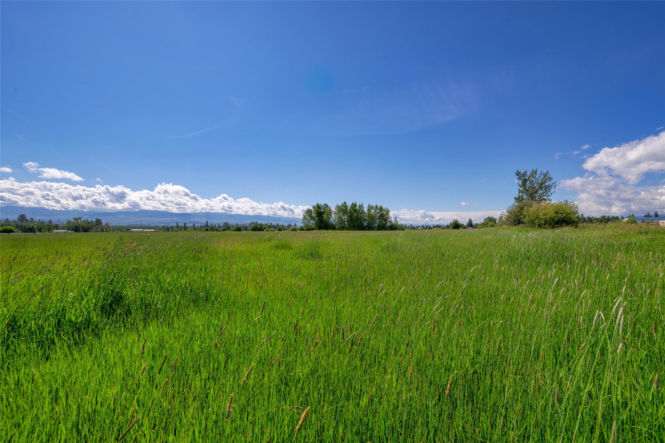 Nhn Mittower Road Victor, MT 59875 - Photo 15 of 39 Gallery Image 15