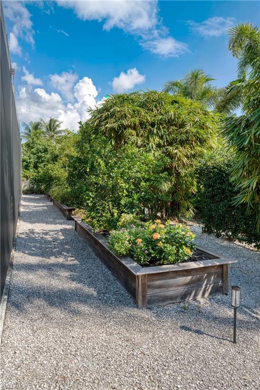 516 Neapolitan Lane Naples, FL 34103 - Photo 37 of 49 View of property's community featuring a vegetable garden