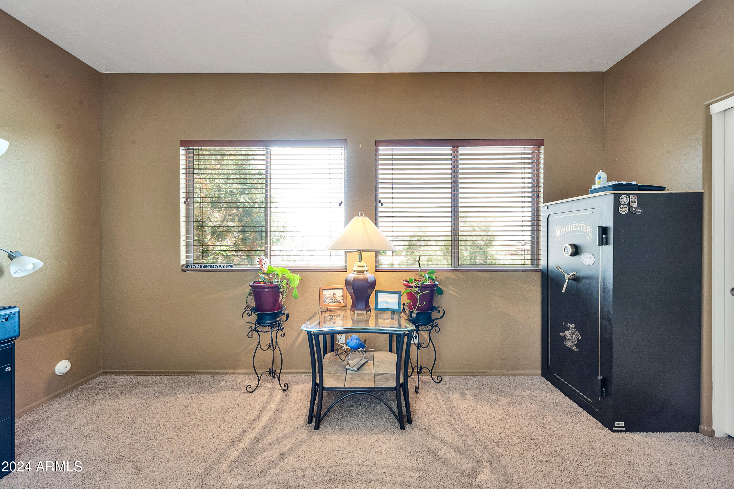 24501 Plum Road Florence, AZ 85132 - Photo 42 of 49 24501 N Plum Rd-37