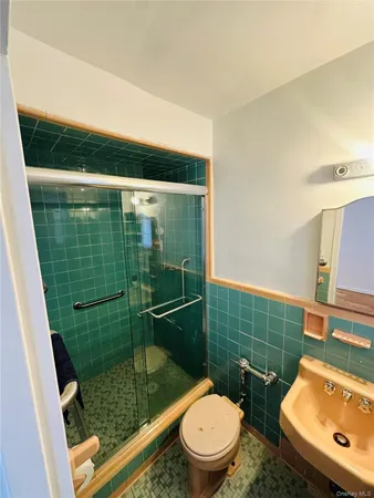 a bathroom with a toilet a sink and shower
