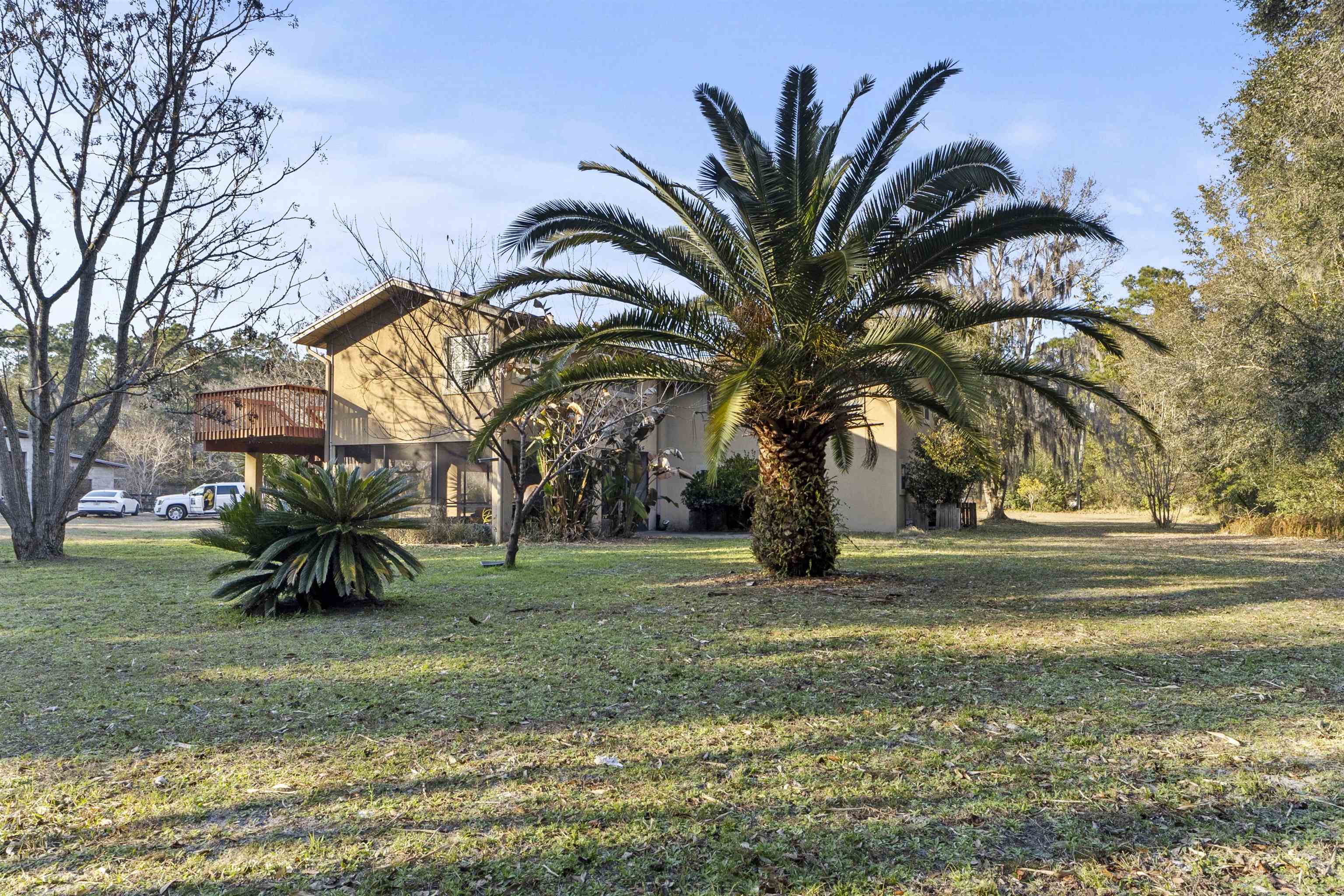 545 Ray Edwards Road St. Augustine, FL 32086 - Photo 7 of 78 View of green lawn