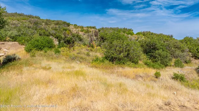 $229,000 | 305 Old Midland Spur, Glenwood Springs, CO 81601