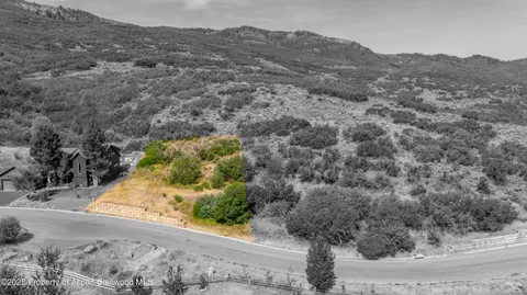 a view of a dry yard with trees