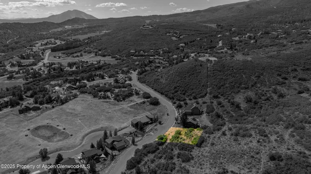 a view of a dry yard with green space
