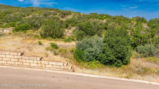 a view of a yard and mountain