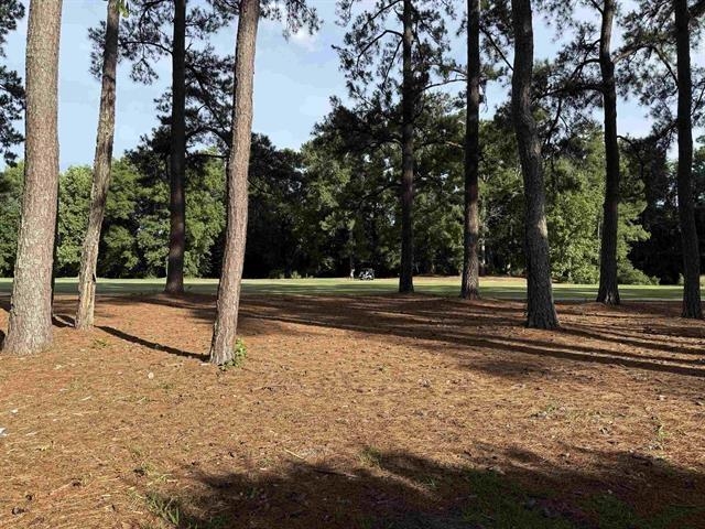 165 Quail Run Conway, SC 29526 - Photo 10 of 34