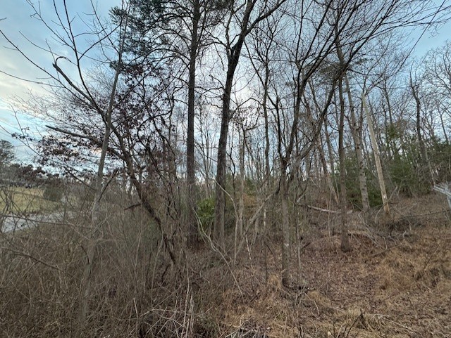 .85-ac East 1st Street Blue Ridge, GA 30513 - Photo 2 of 8 Gallery Image 2