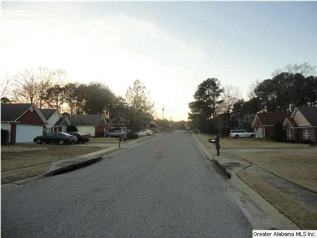 149 Pebble Drive Alabaster, AL 35007 - Photo 30 of 30