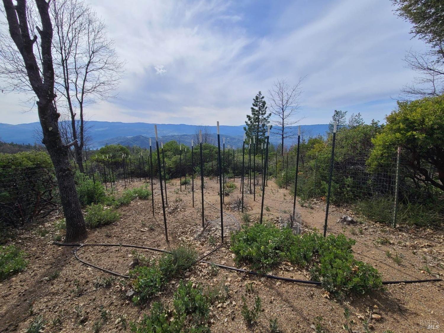 47700 Bentley Ridge Road Covelo, CA 95428 - Photo 11 of 74