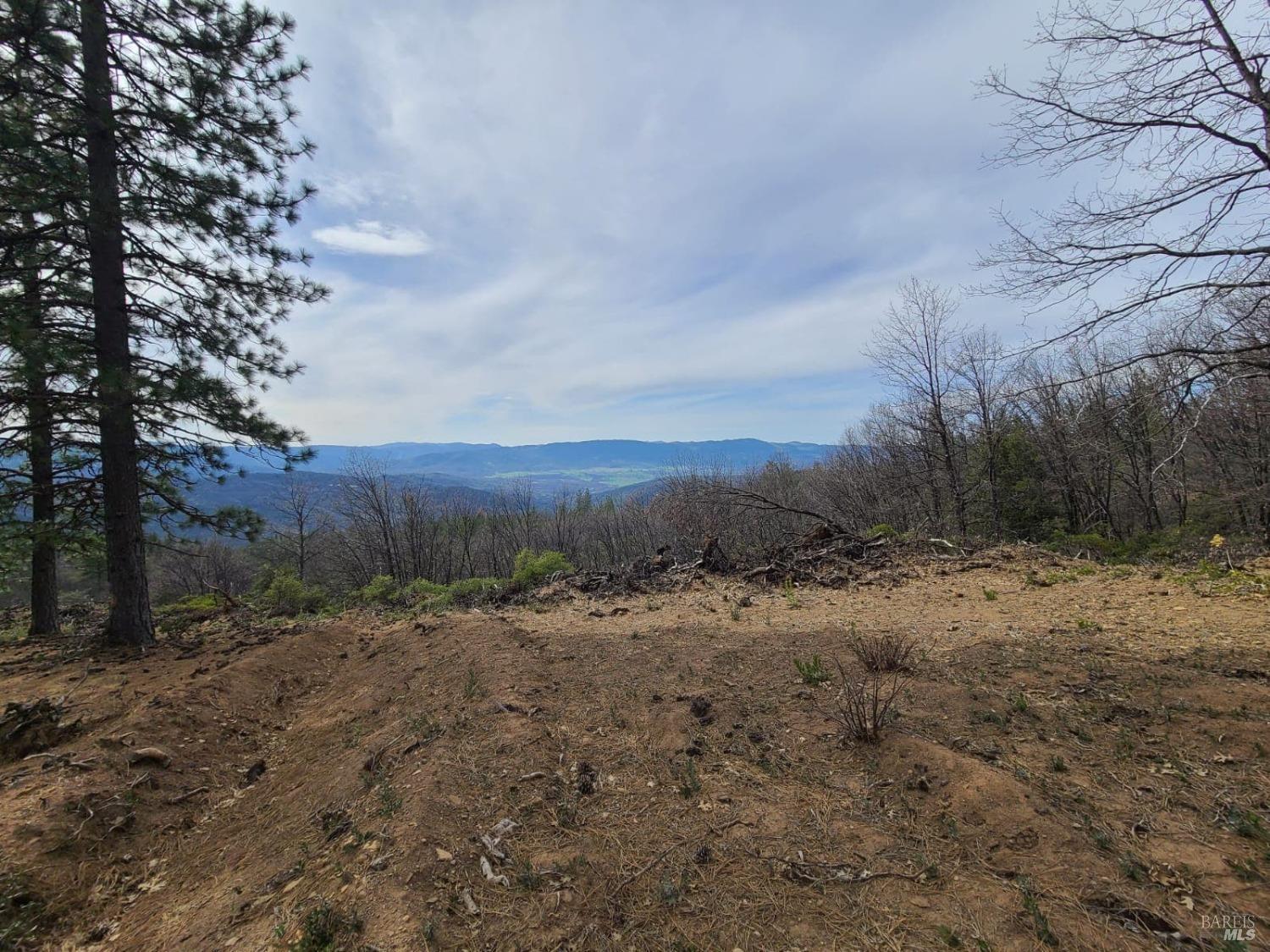 47700 Bentley Ridge Road Covelo, CA 95428 - Photo 12 of 74