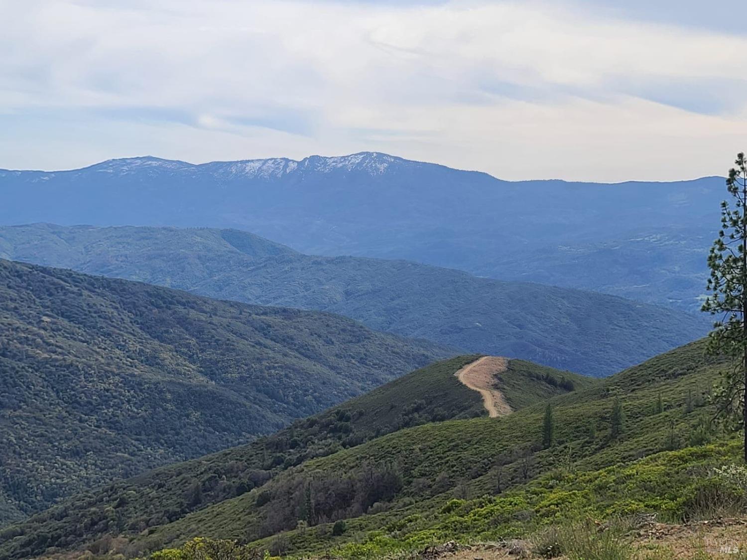 47700 Bentley Ridge Road Covelo, CA 95428 - Photo 15 of 74