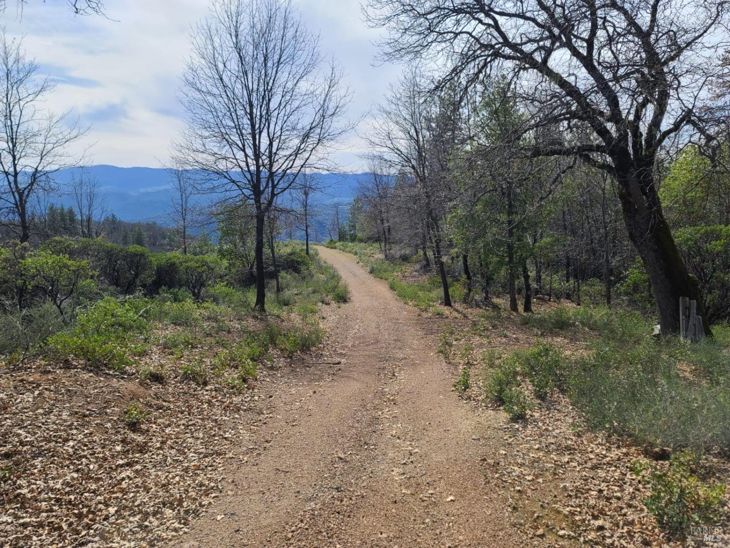 47700 Bentley Ridge Road Covelo, CA 95428 - Photo 16 of 74