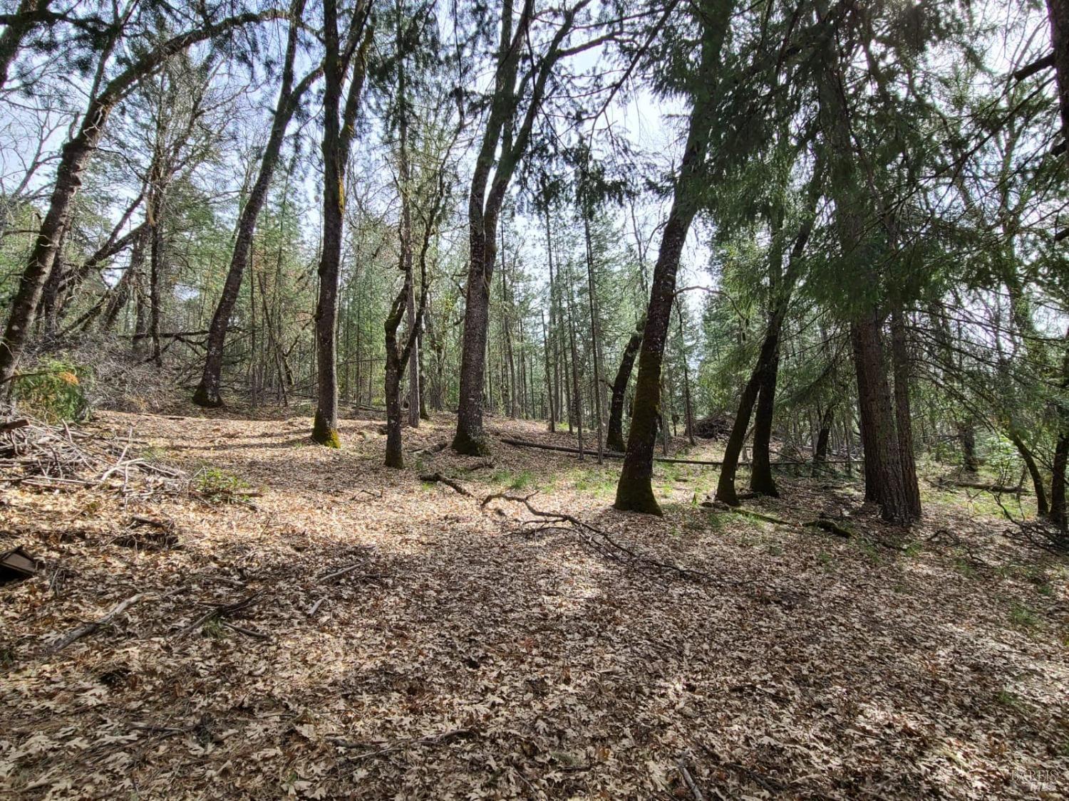 47700 Bentley Ridge Road Covelo, CA 95428 - Photo 18 of 74