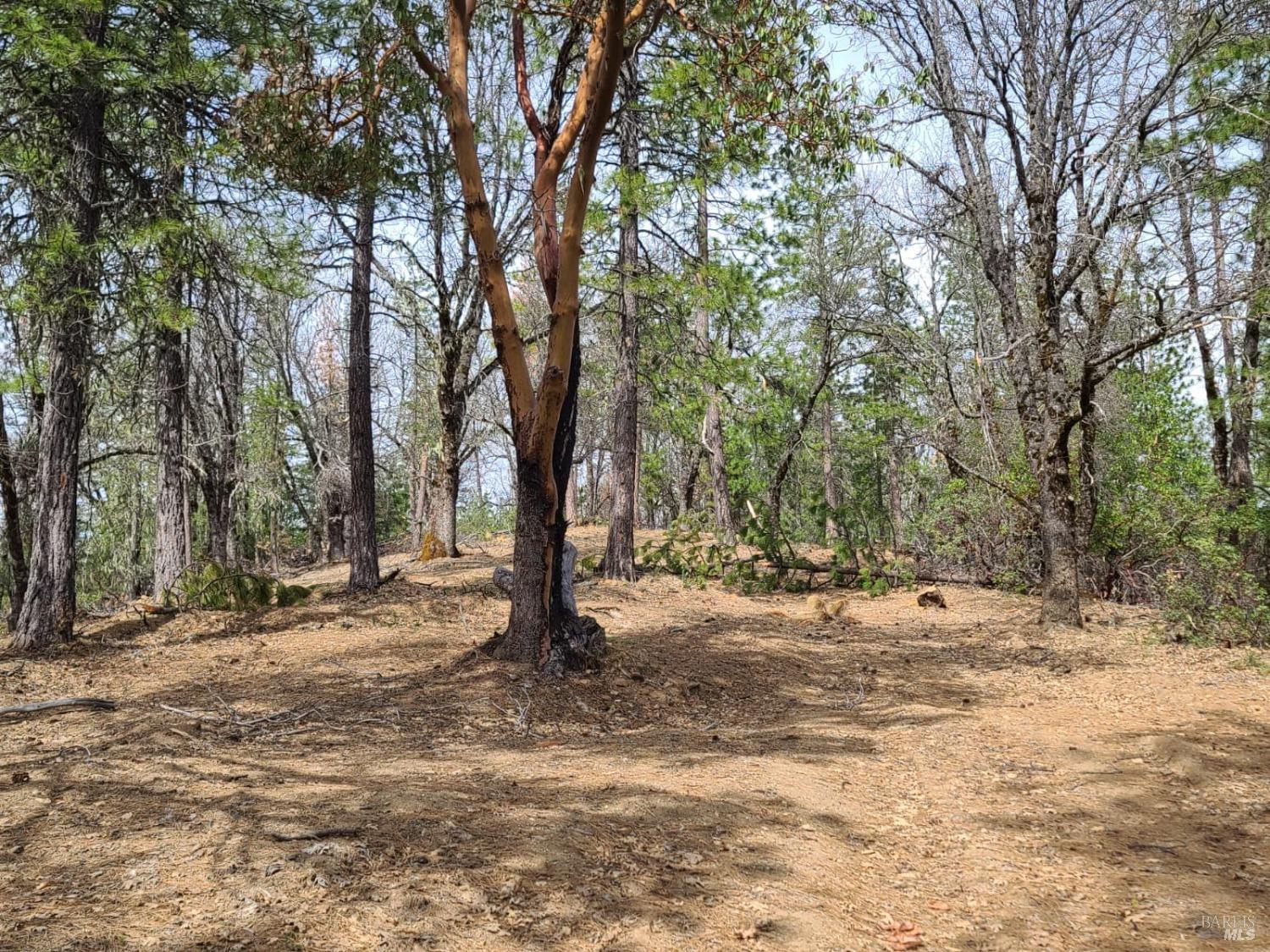 47700 Bentley Ridge Road Covelo, CA 95428 - Photo 19 of 74