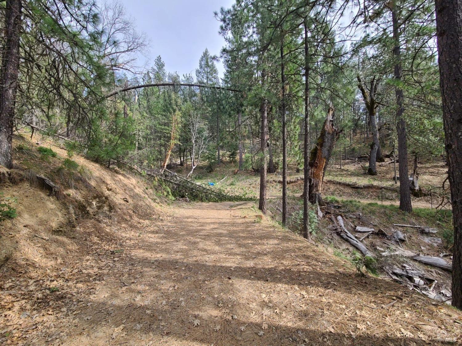 47700 Bentley Ridge Road Covelo, CA 95428 - Photo 22 of 74