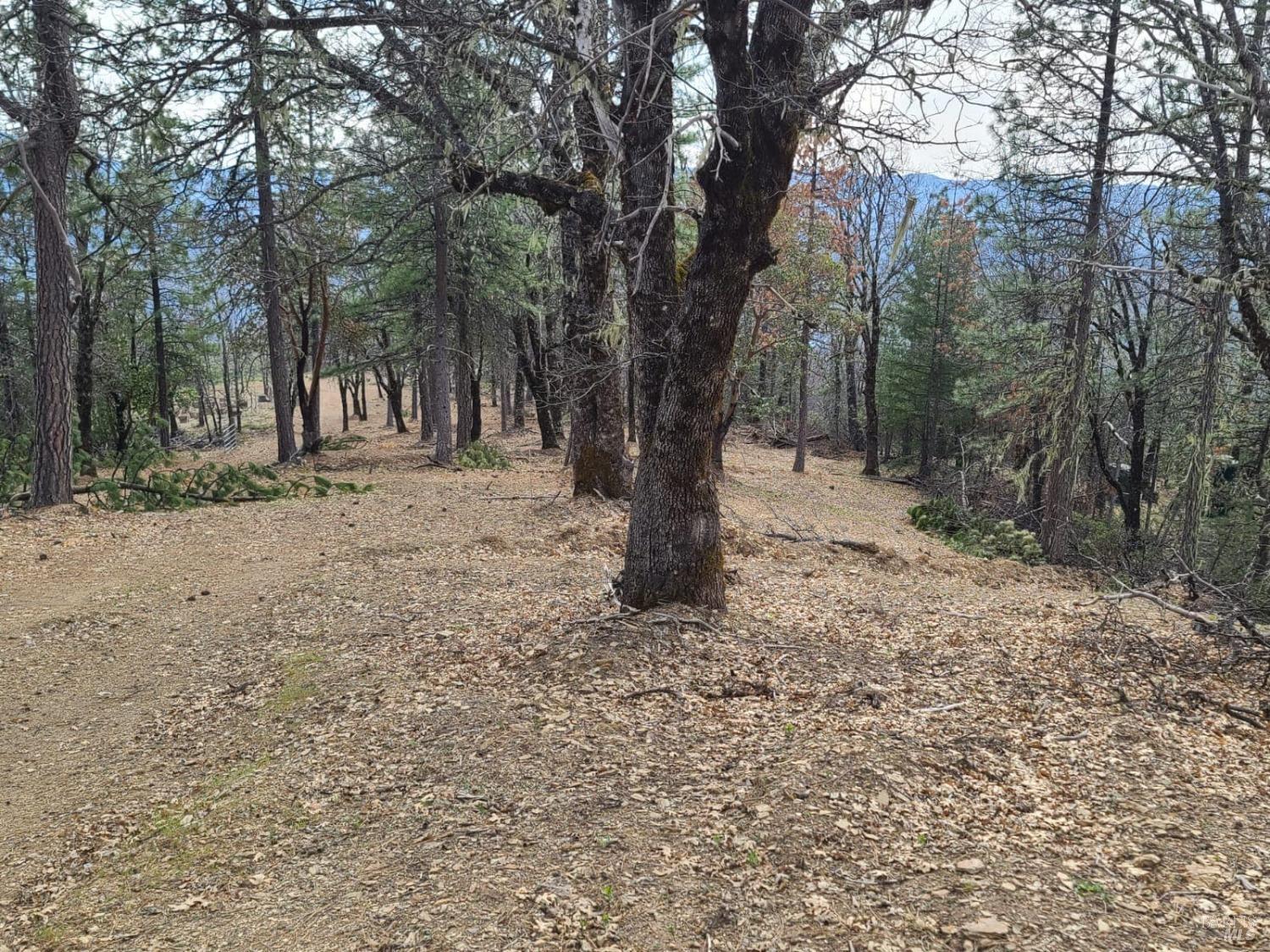 47700 Bentley Ridge Road Covelo, CA 95428 - Photo 23 of 74