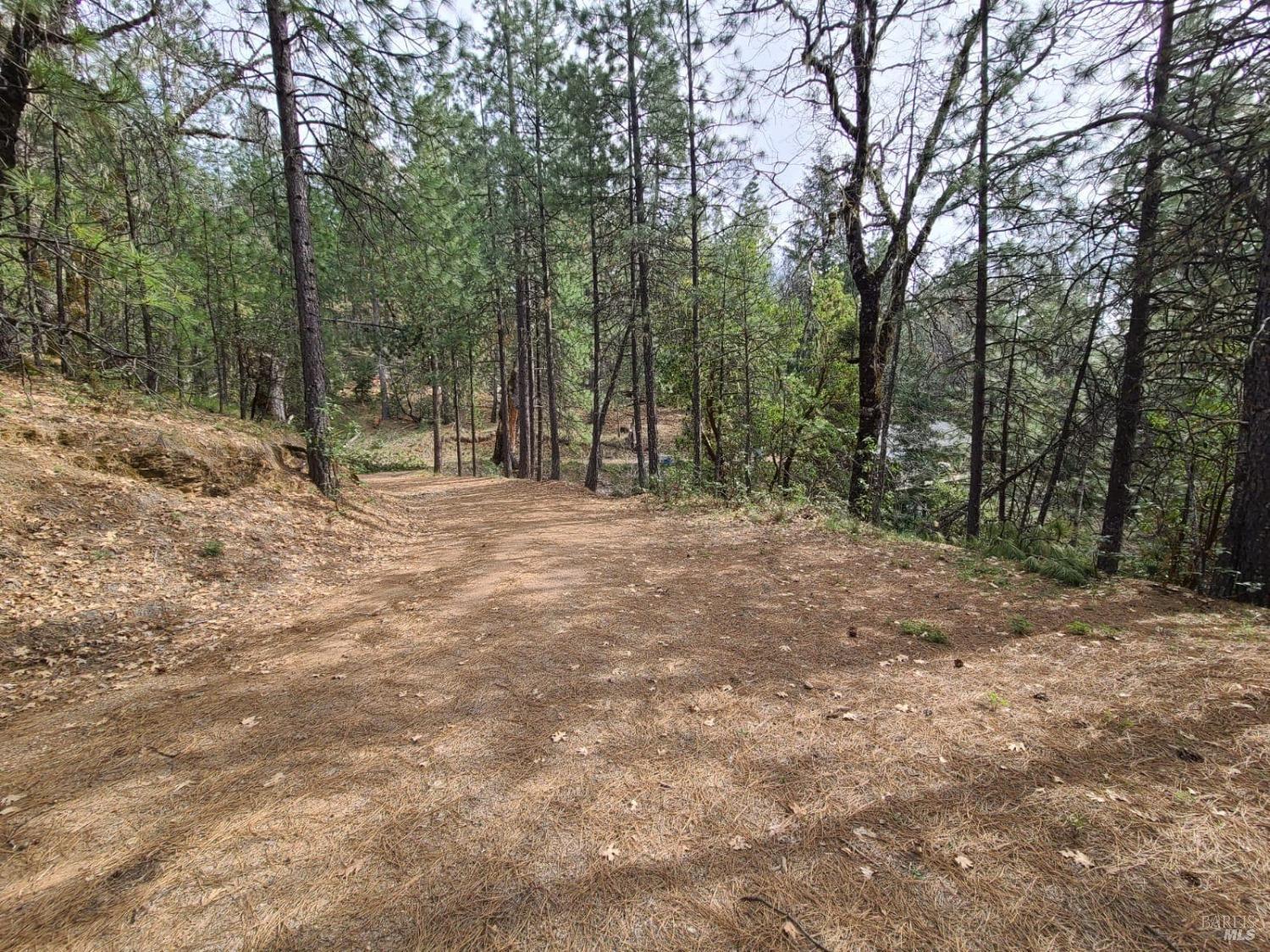 47700 Bentley Ridge Road Covelo, CA 95428 - Photo 25 of 74