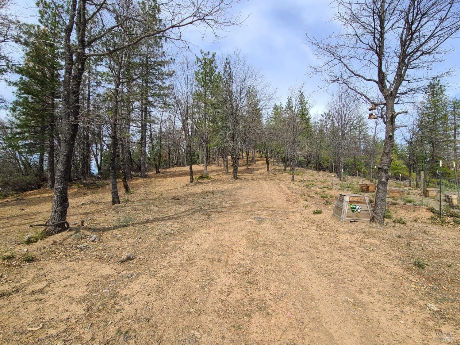 47700 Bentley Ridge Road Covelo, CA 95428 - Photo 27 of 74