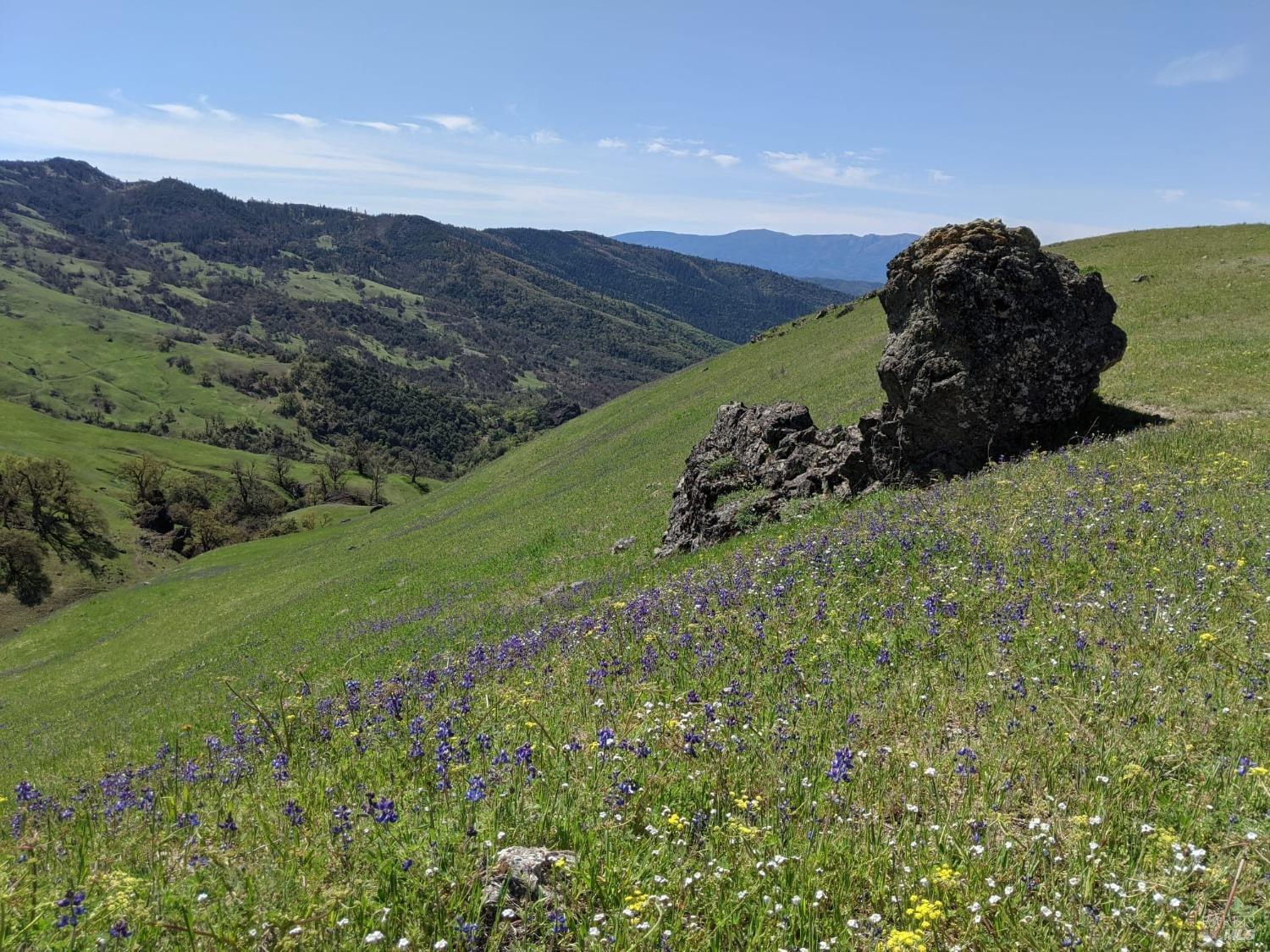 47700 Bentley Ridge Road Covelo, CA 95428 - Photo 3 of 74