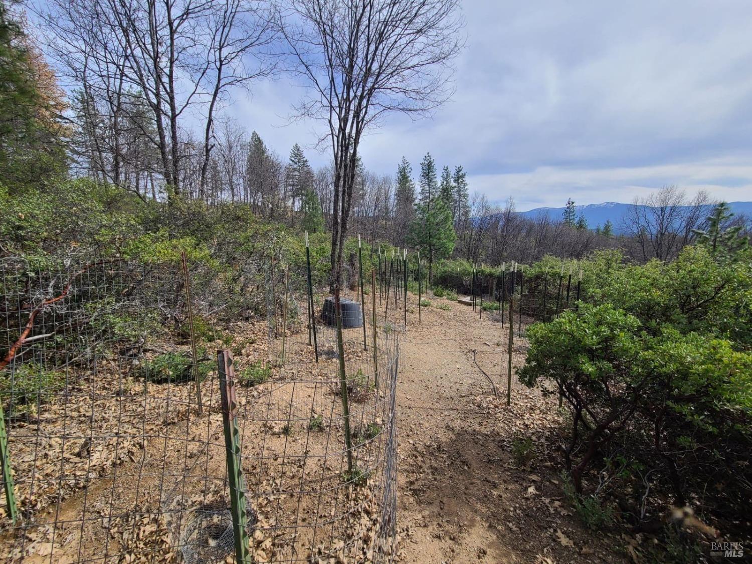 47700 Bentley Ridge Road Covelo, CA 95428 - Photo 31 of 74