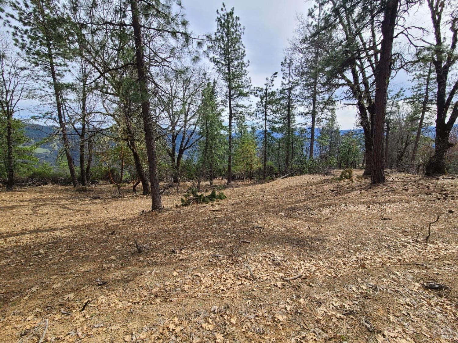 47700 Bentley Ridge Road Covelo, CA 95428 - Photo 33 of 74