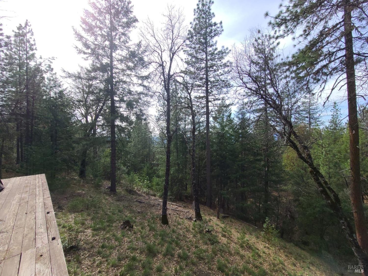 47700 Bentley Ridge Road Covelo, CA 95428 - Photo 39 of 74