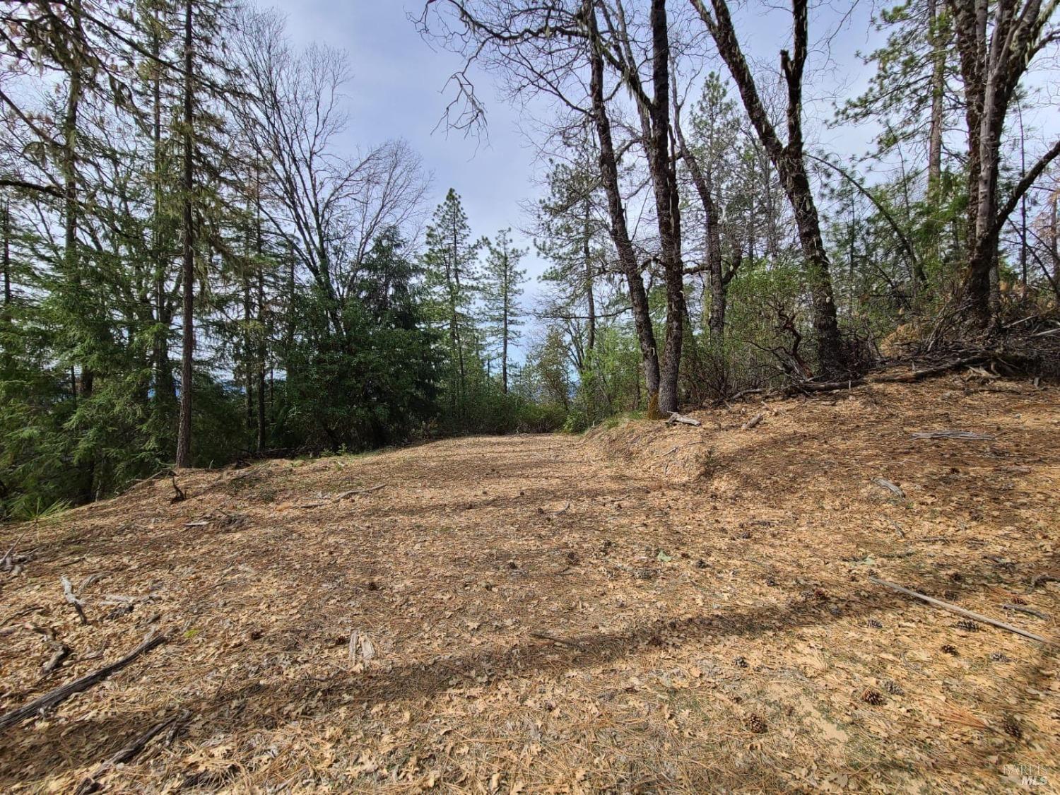 47700 Bentley Ridge Road Covelo, CA 95428 - Photo 45 of 74