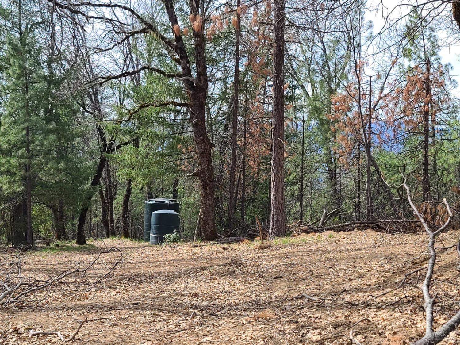 47700 Bentley Ridge Road Covelo, CA 95428 - Photo 48 of 74