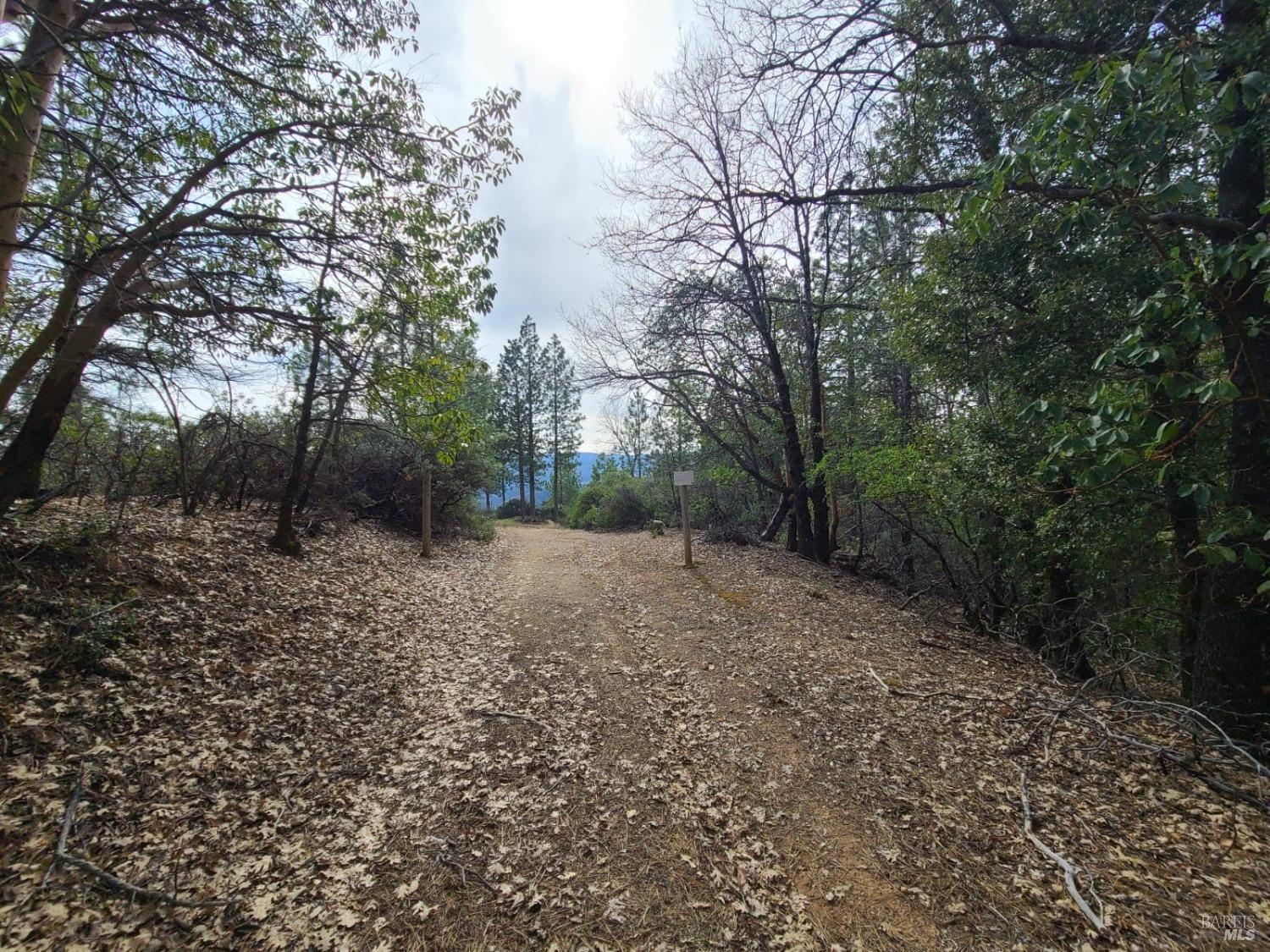 47700 Bentley Ridge Road Covelo, CA 95428 - Photo 50 of 74