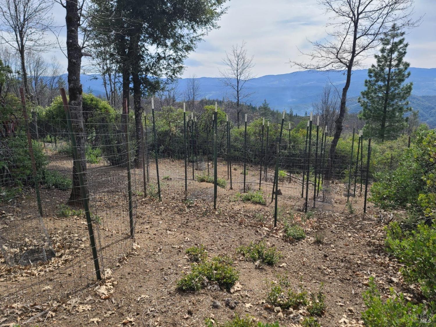 47700 Bentley Ridge Road Covelo, CA 95428 - Photo 53 of 74