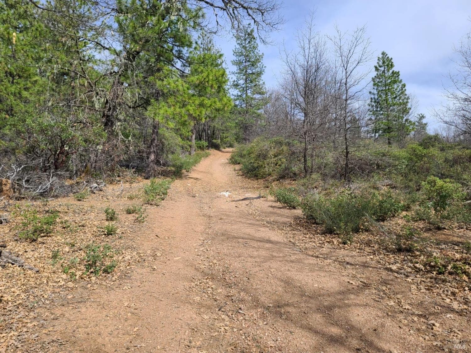 47700 Bentley Ridge Road Covelo, CA 95428 - Photo 58 of 74