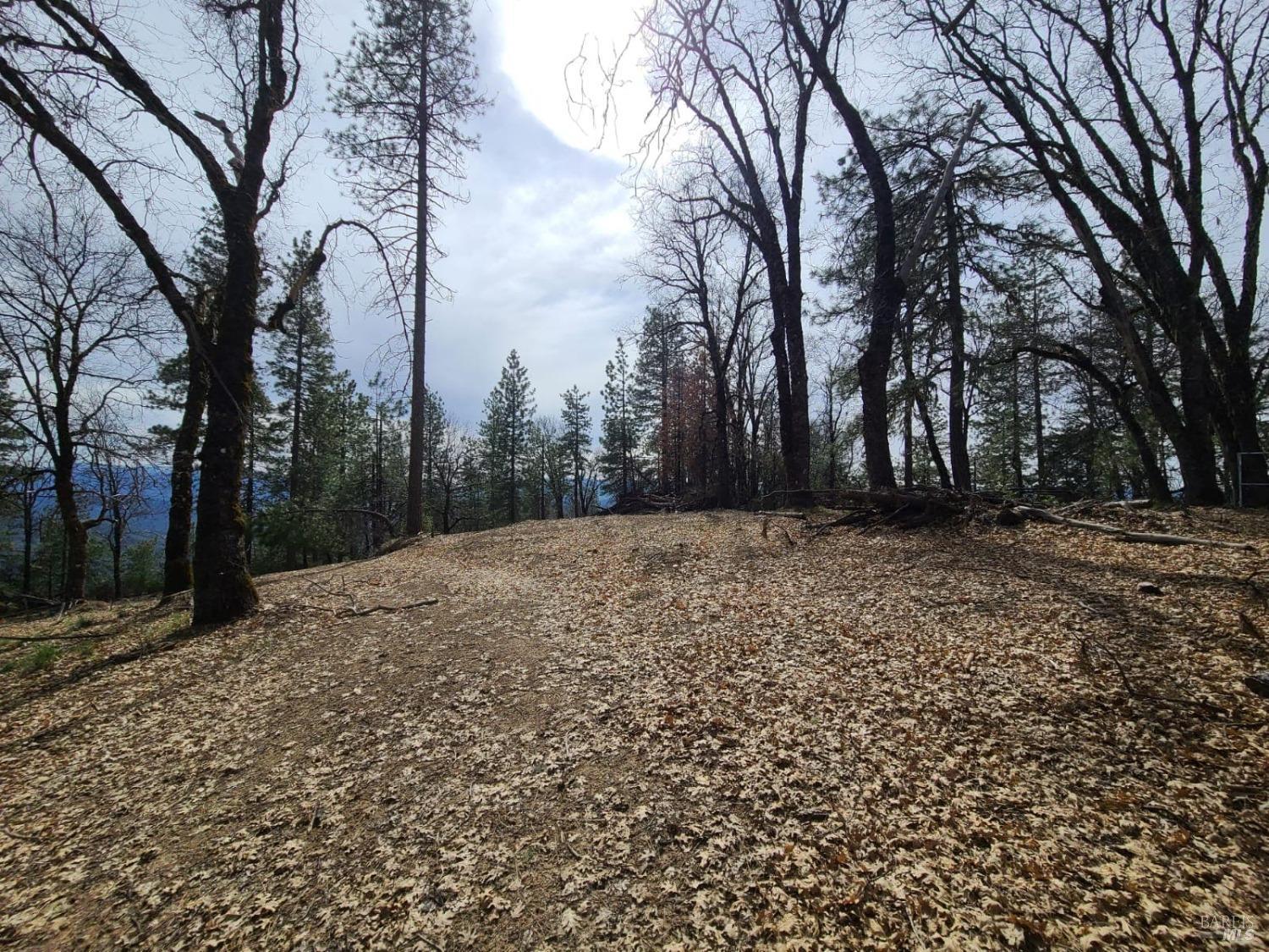 47700 Bentley Ridge Road Covelo, CA 95428 - Photo 59 of 74