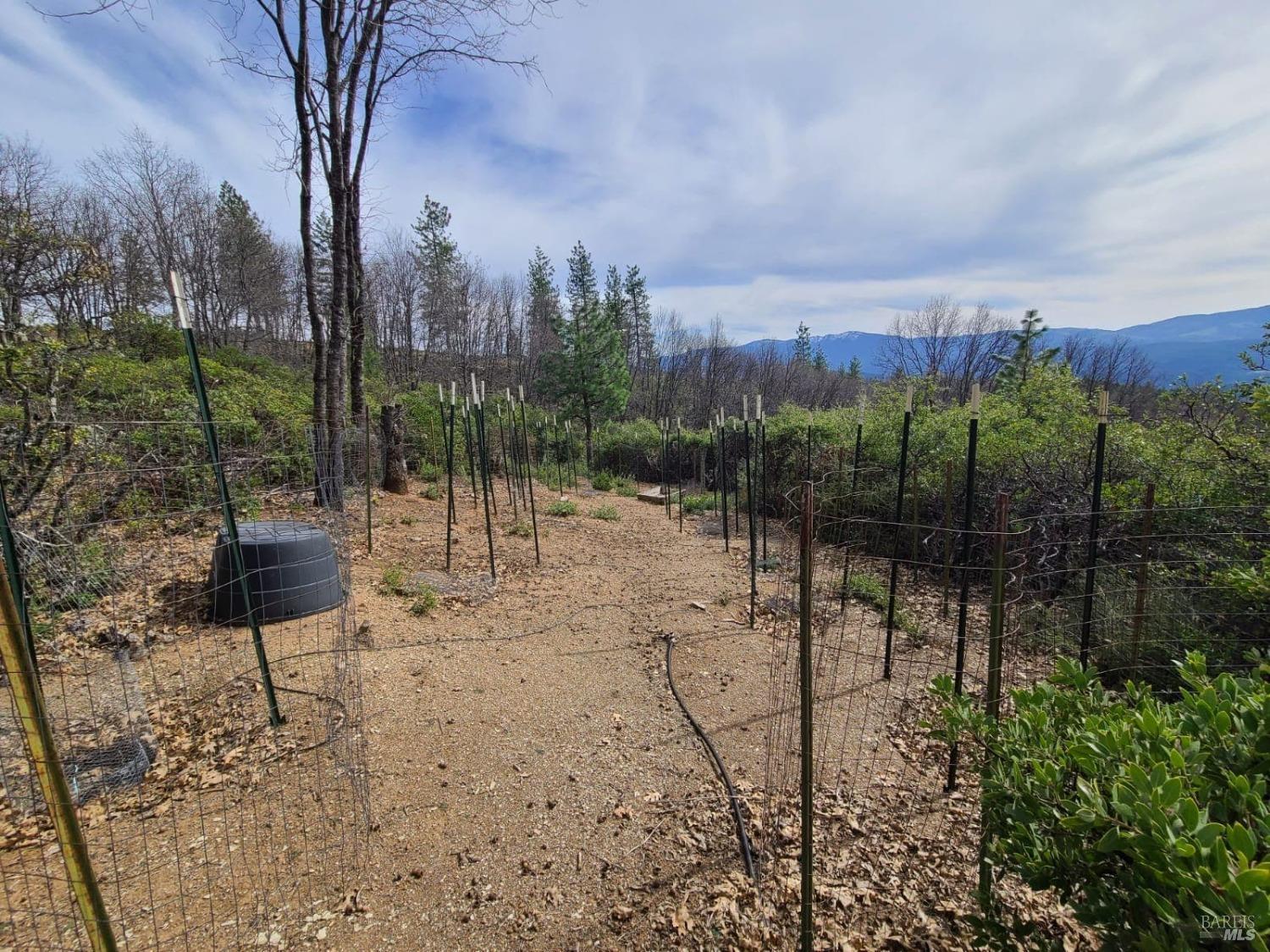 47700 Bentley Ridge Road Covelo, CA 95428 - Photo 60 of 74