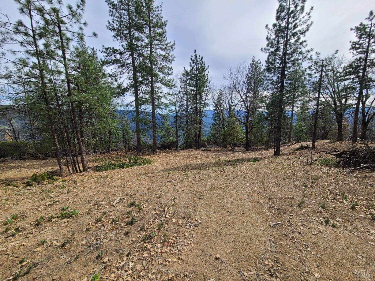 47700 Bentley Ridge Road Covelo, CA 95428 - Photo 6 of 74