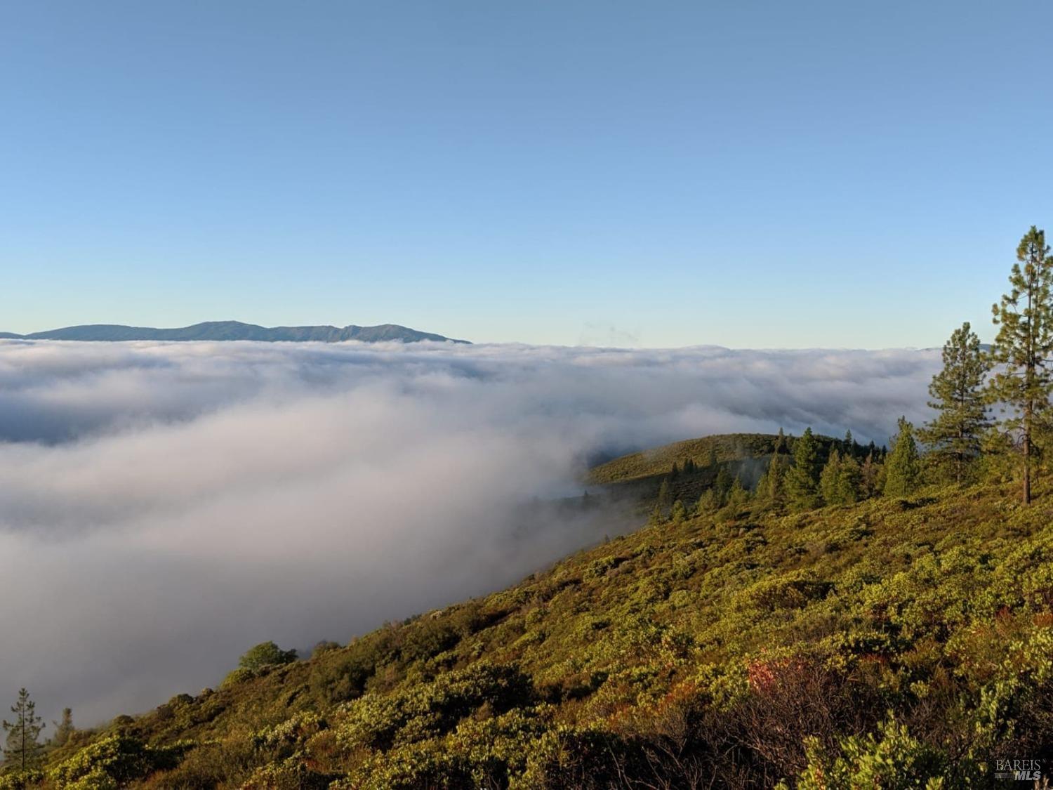 47700 Bentley Ridge Road Covelo, CA 95428 - Photo 67 of 74