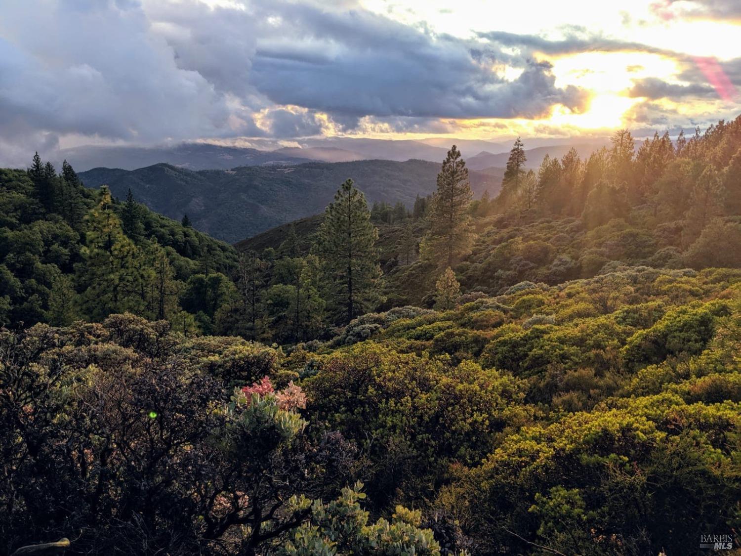 47700 Bentley Ridge Road Covelo, CA 95428 - Photo 68 of 74