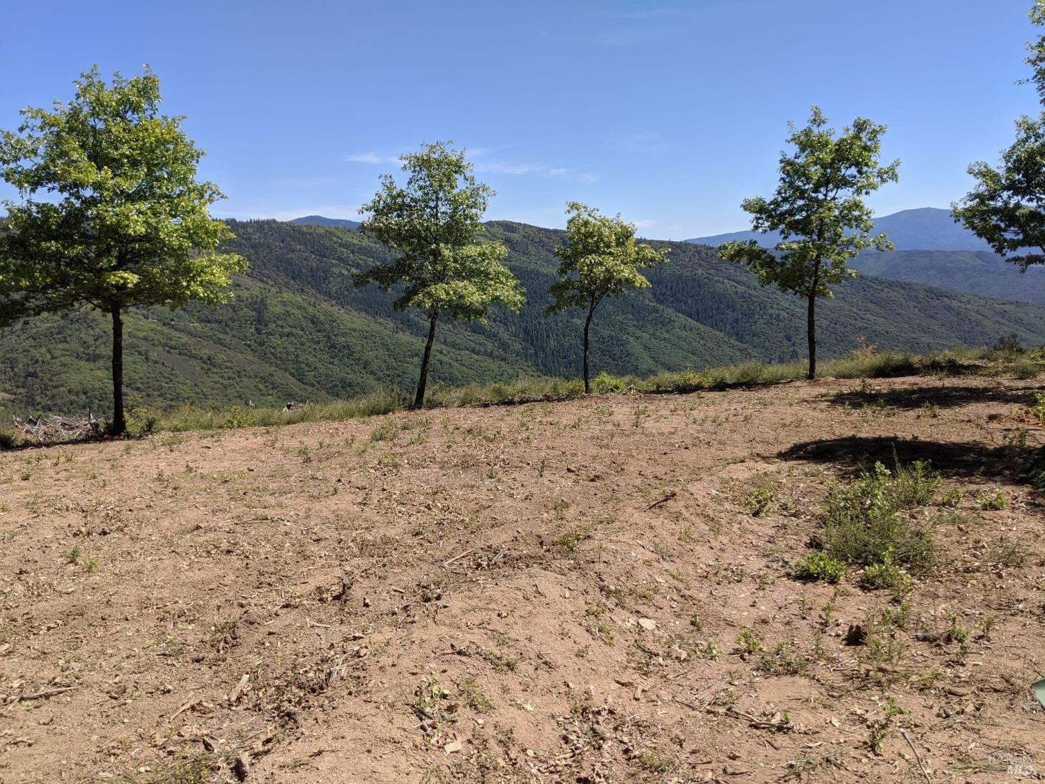 47700 Bentley Ridge Road Covelo, CA 95428 - Photo 73 of 74