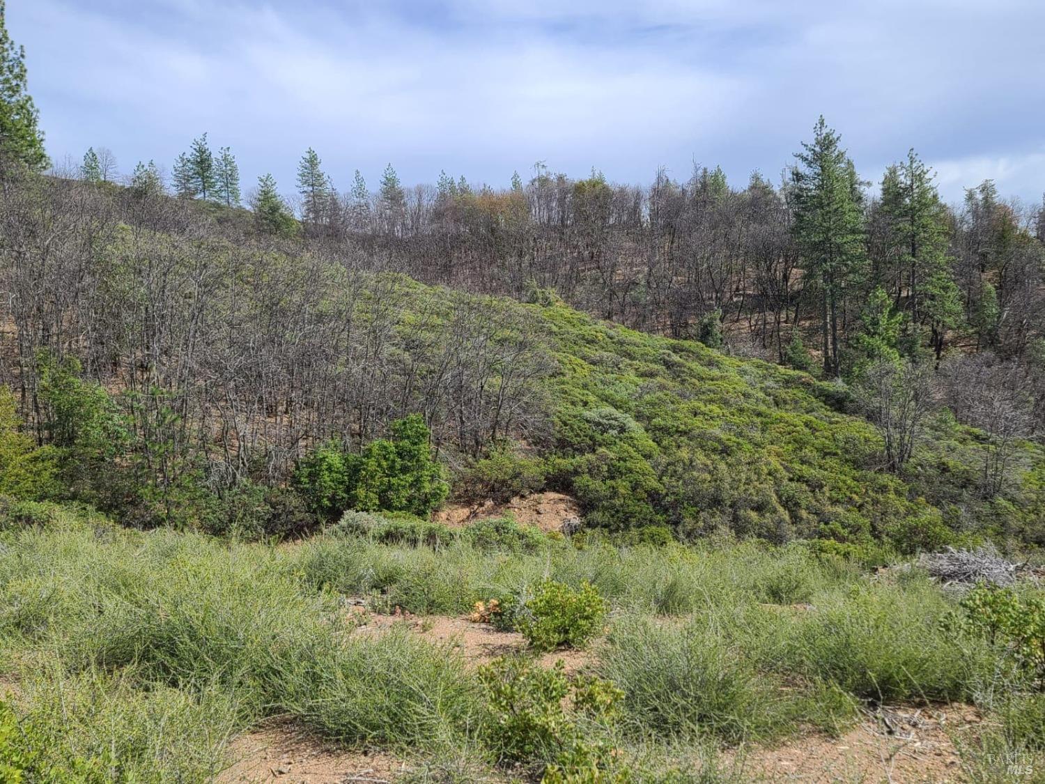 47700 Bentley Ridge Road Covelo, CA 95428 - Photo 10 of 74