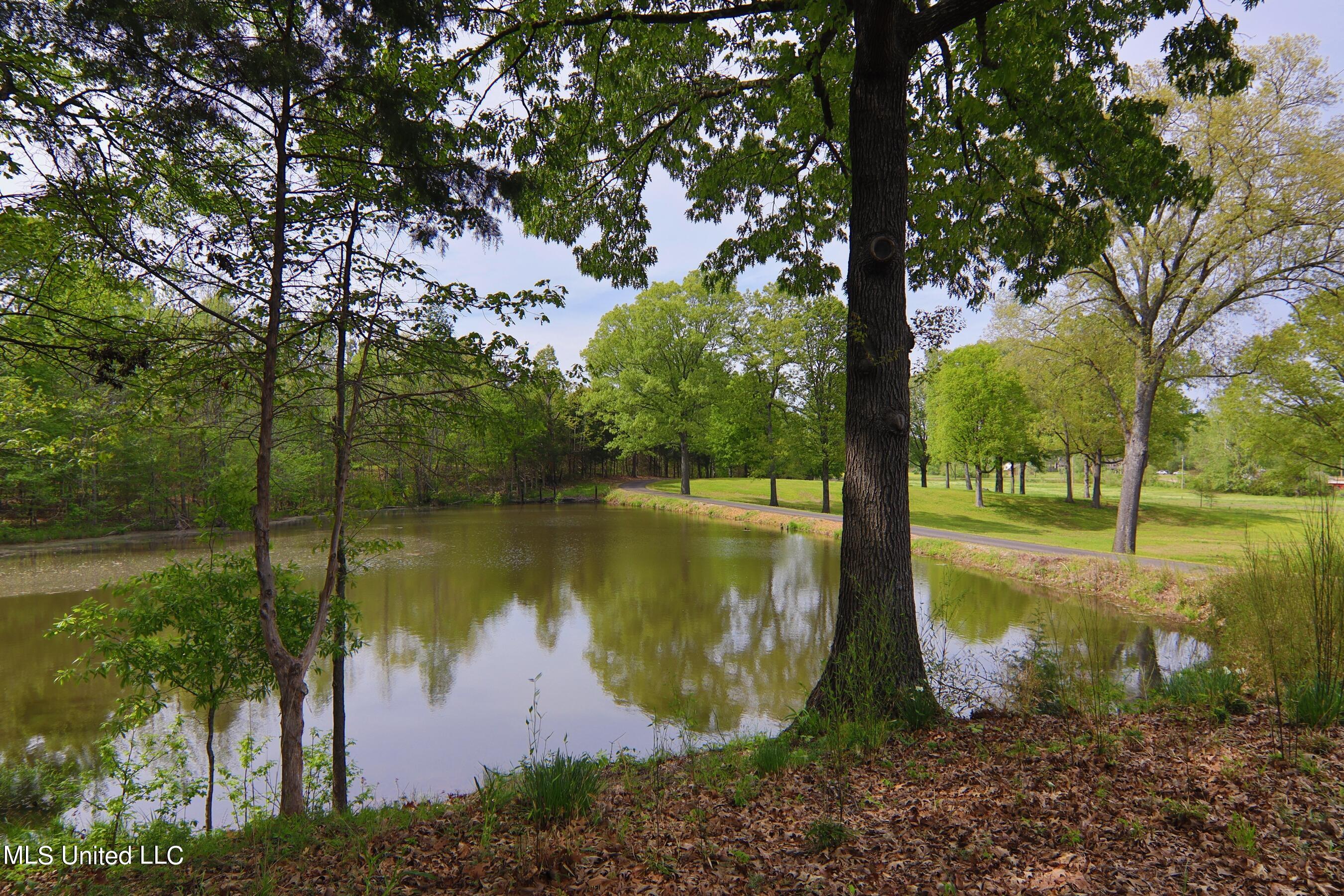 3555 Bright Road Hernando, MS 38632 - Photo 34 of 38 Bright Road medium 0042
