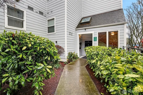 a view of a backyard with potted plants