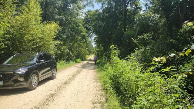 $19,500 | 0 Cox Road, Monticello, FL 32344