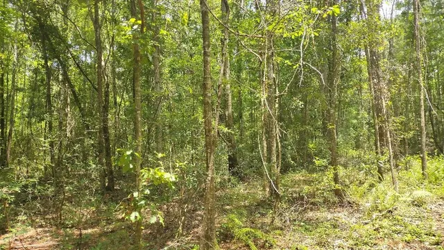 $19,500 | 0 Cox Road, Monticello, FL 32344