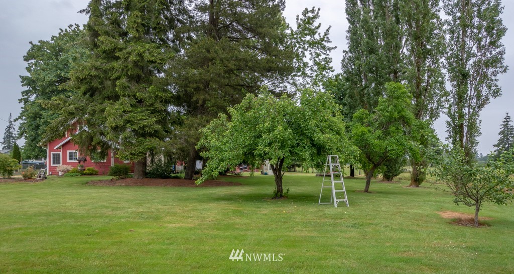 187 Wilson Road Winlock, WA 98596 - Photo 16 of 25