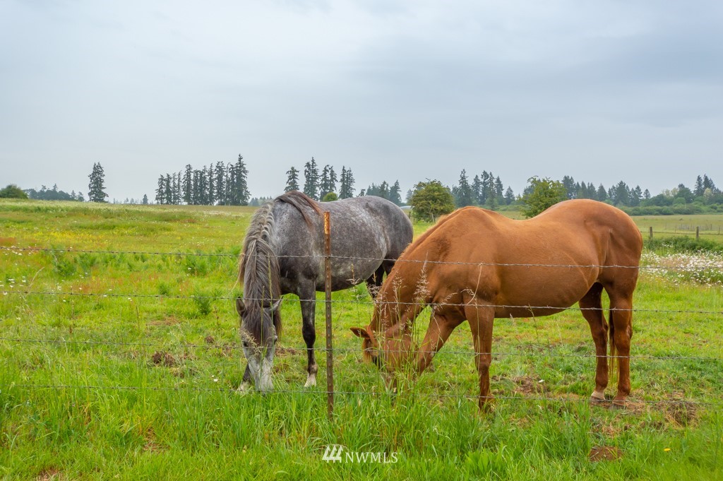 187 Wilson Road Winlock, WA 98596 - Photo 24 of 25