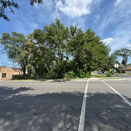 a view of a yard with a house in the background
