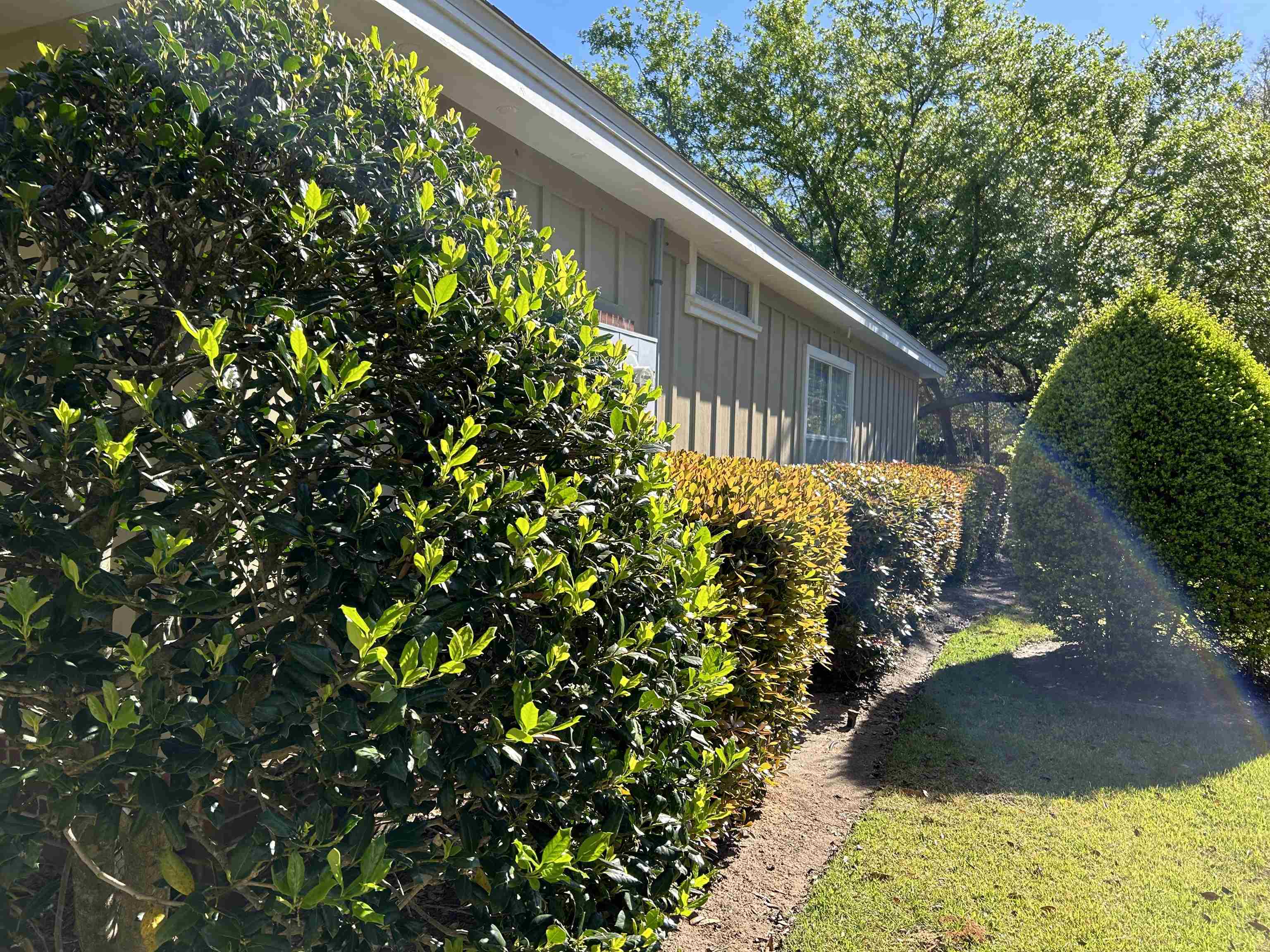430 West Fort Morgan Road, Unit 301 Gulf Shores, AL 36542 - Photo 17 of 22
