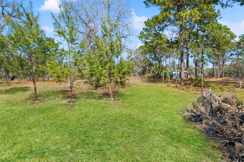 12222 Beagle Road Hudson, FL 34667 - Photo 45 of 78 Gallery Image 45
