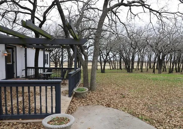 a view of a backyard with large trees