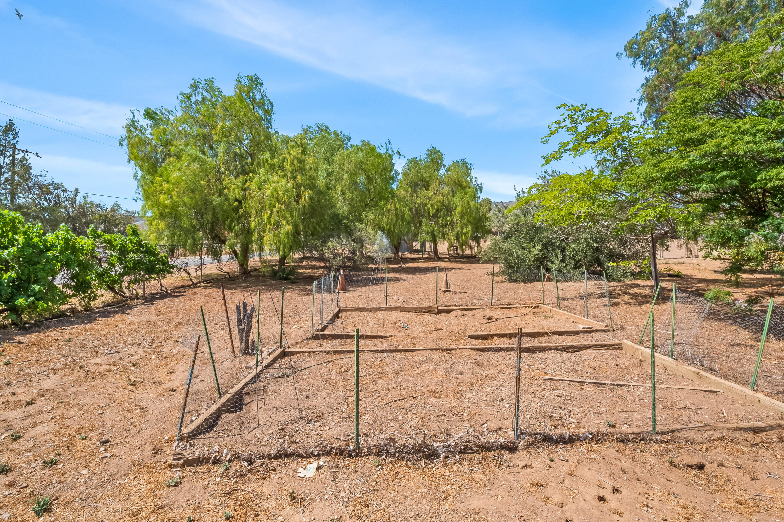 35326 Wyse Road Agua Dulce, CA 91390 - Photo 43 of 54 Wyse Rd-43